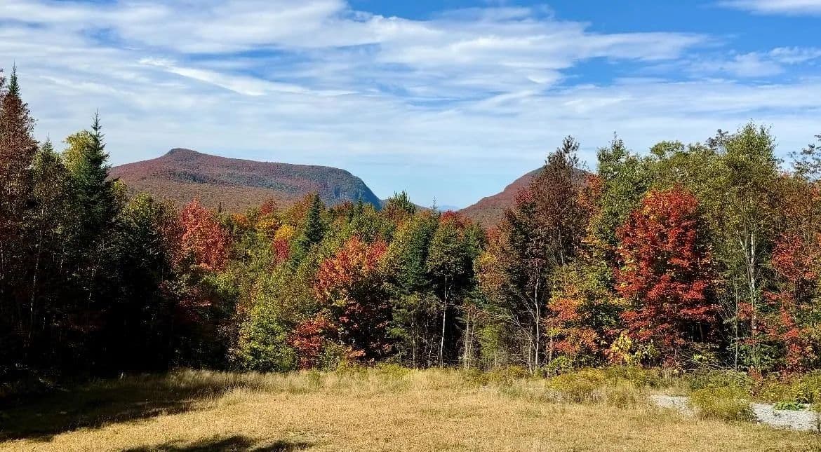 Lots & Land-Other in Newark - Newark, Vermont, 05871