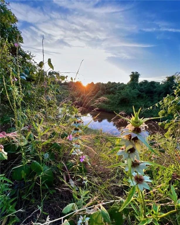 Property from 1579 Hwy 77 Highway S - KW