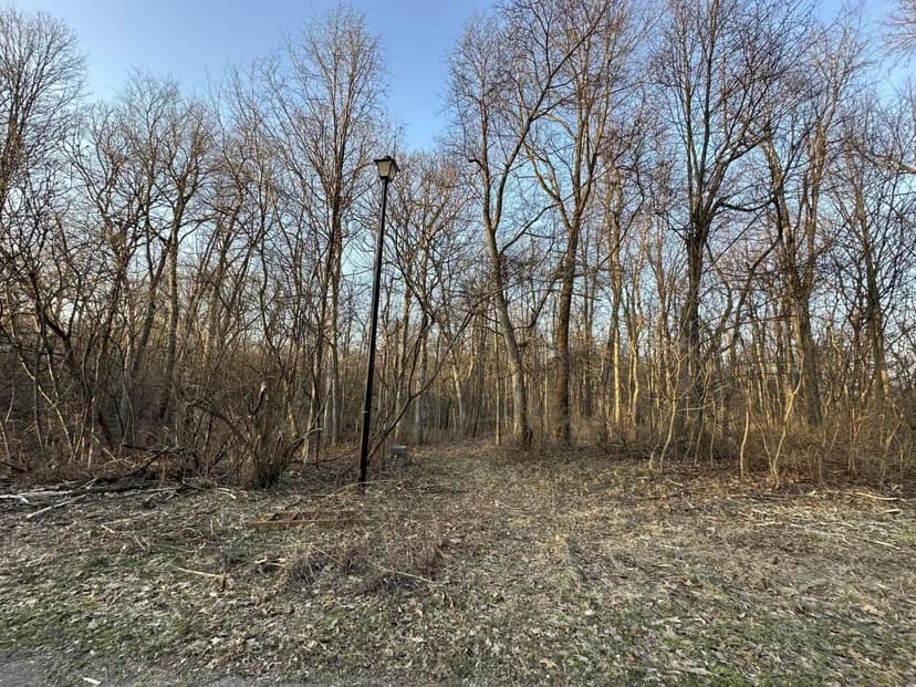 Land -Single Family Acreage in Edwardsburg