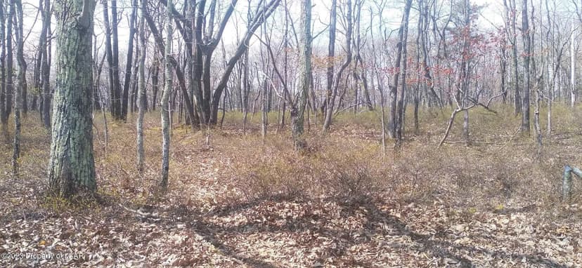 Lots & Land-Other in Hazle Twp