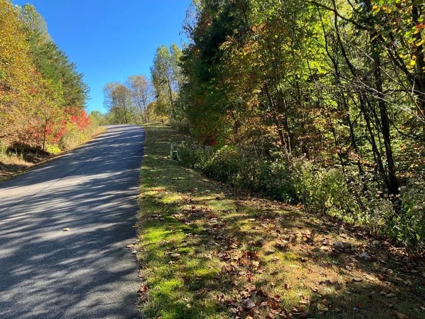 Lots & Land-Other in Murphy