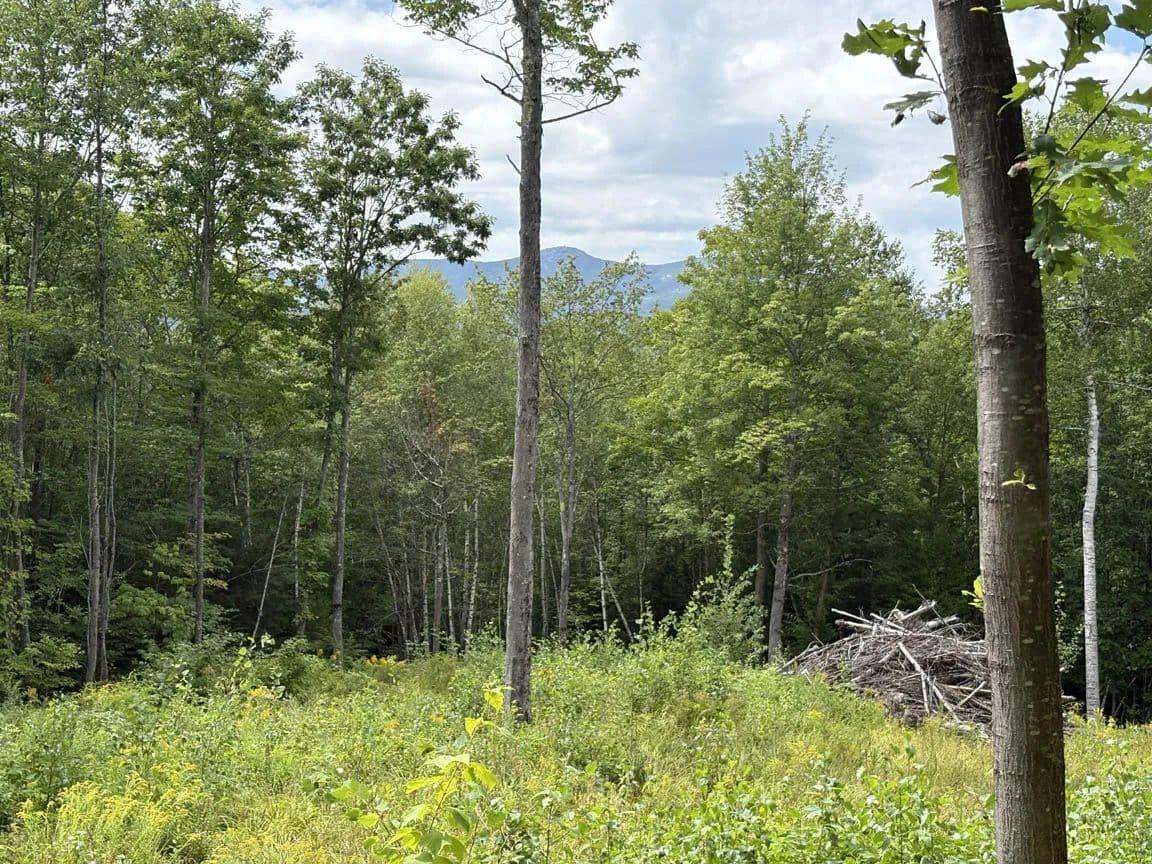 Lots & Land-Other in Alexandria - Alexandria, New Hampshire, 03222
