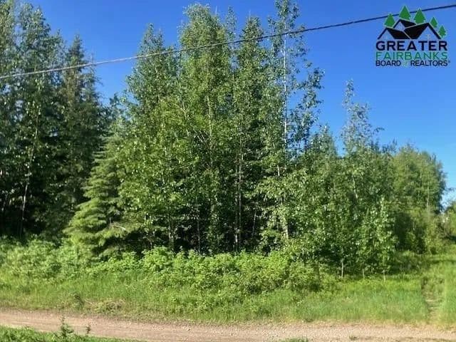 Lots & Land-Other in North Pole - North Pole, Alaska, 99705