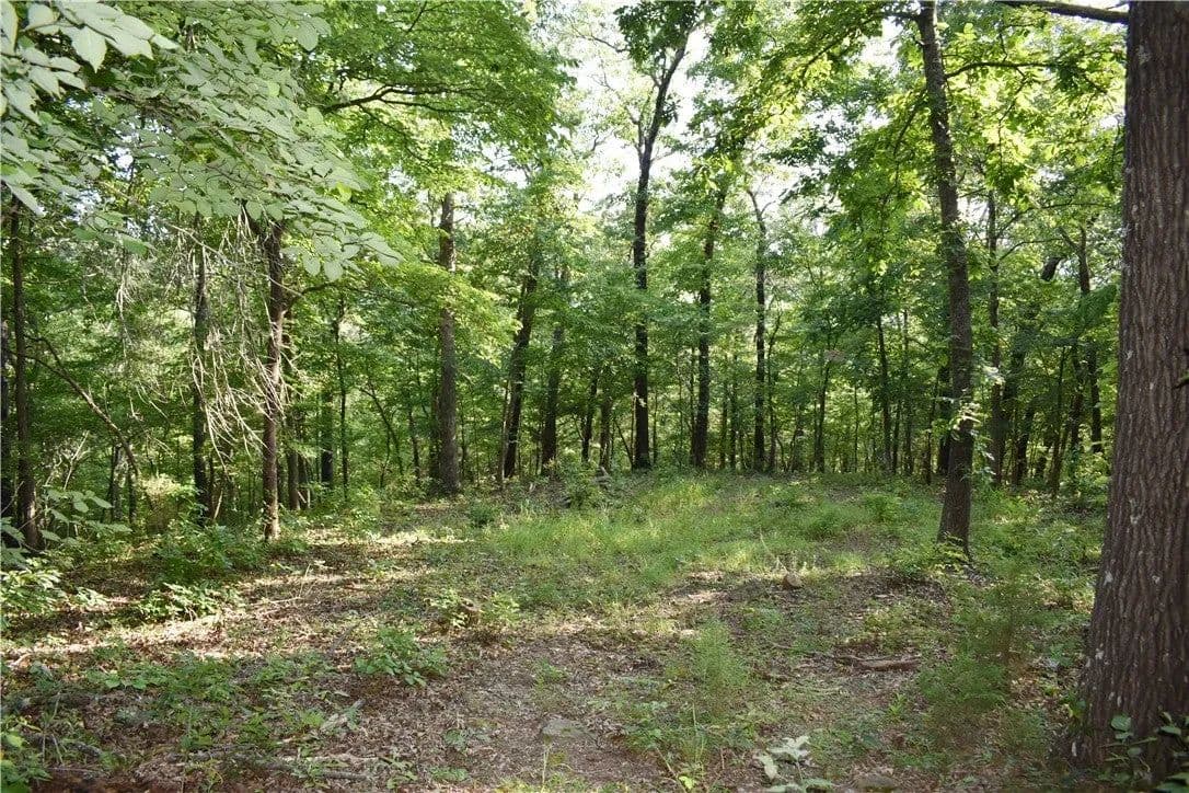 Lots & Land-Other in Elkins - Elkins, Arkansas, 72727