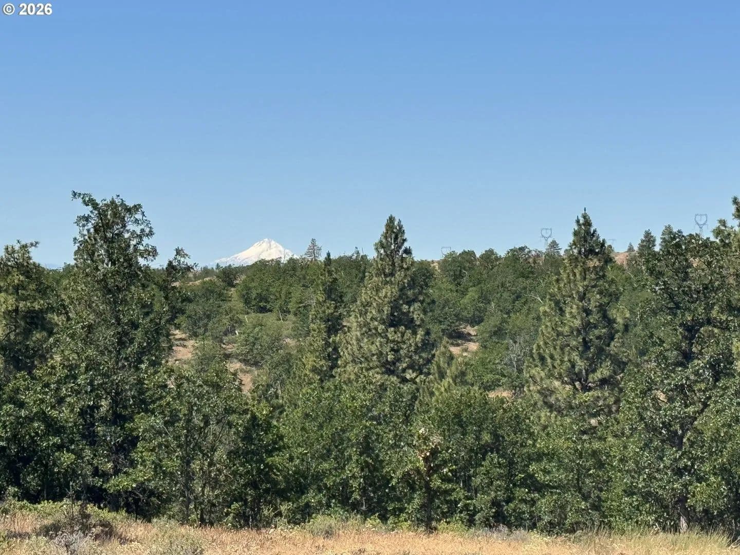 62.2 Acres of Land for Sale in Roosevelt, Washington - Roosevelt, Washington, 99356