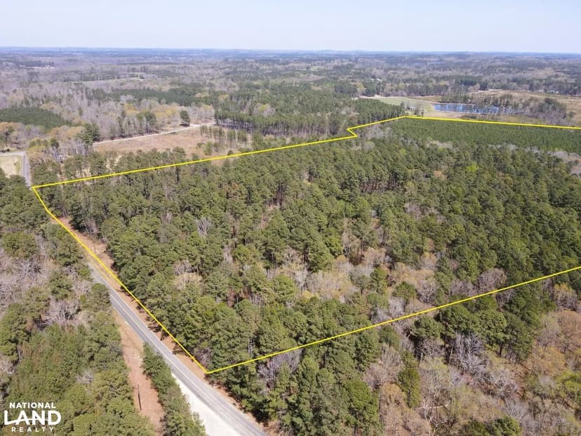 Collins Mountain Rd 89+/- Acre Investment Tract