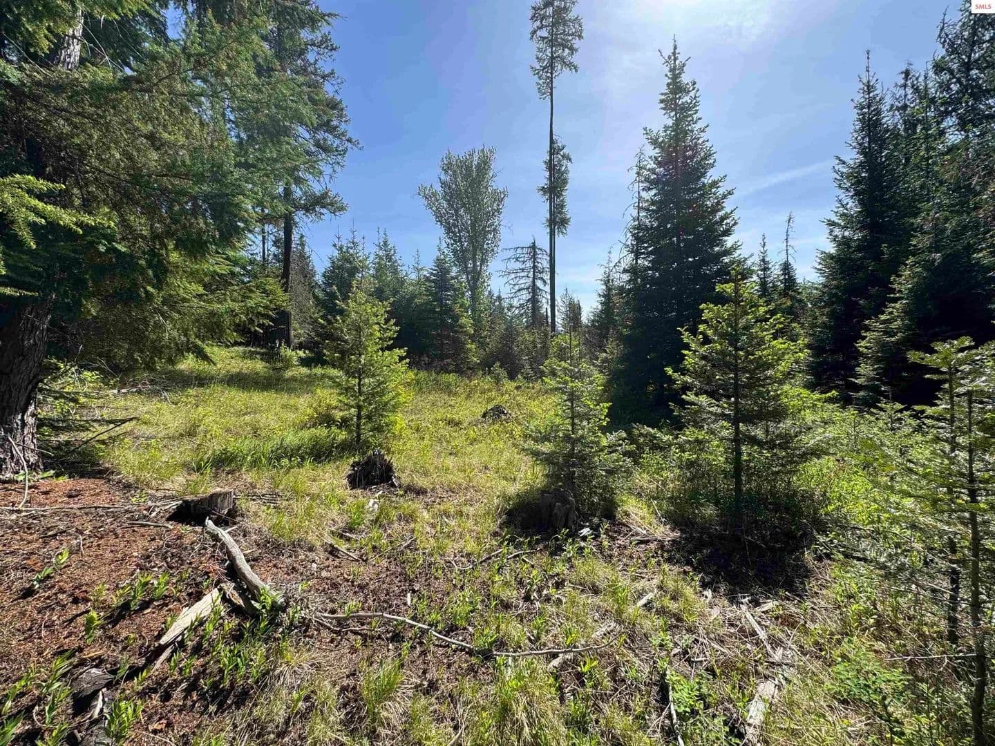 Lots & Land-Other in Priest River - Priest River, Idaho, 83856