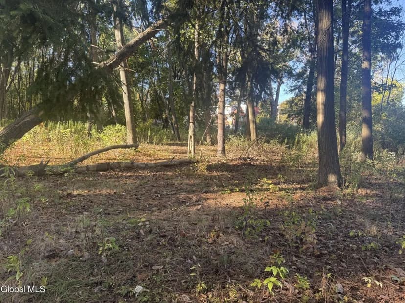 Land -Single Family Acreage in Schenectady