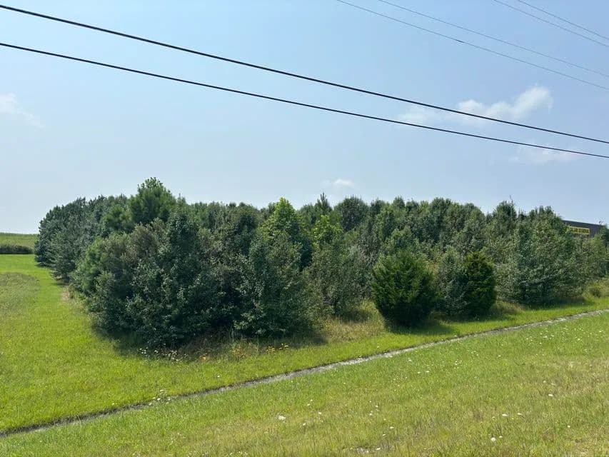 Land -Agricultural (Not Zoned) in Dunlap - Dunlap, Tennessee, 37327