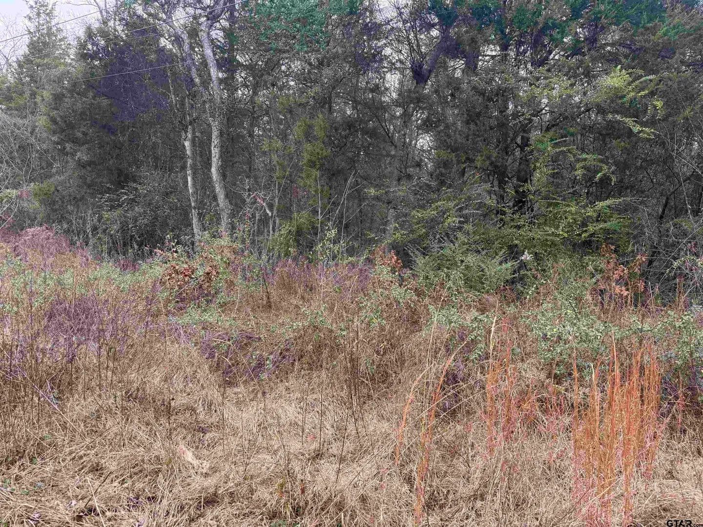 Vacant Land in Bullard - Bullard, Texas, 75757