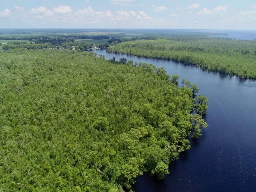 UNDER CONTRACT!!  611 ac Riverfront Hunting Land for Sale in Pasquotank County NC!