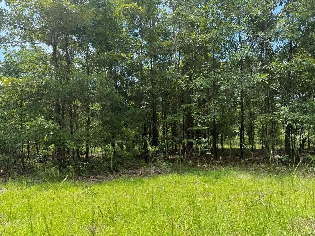 Lots & Land-Other in Donalsonville - Donalsonville, Georgia, 39845