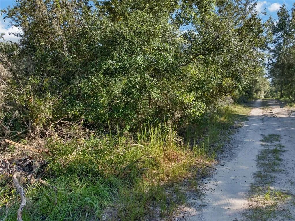 Vacant Land in Deltona - Deltona, Florida, 32738