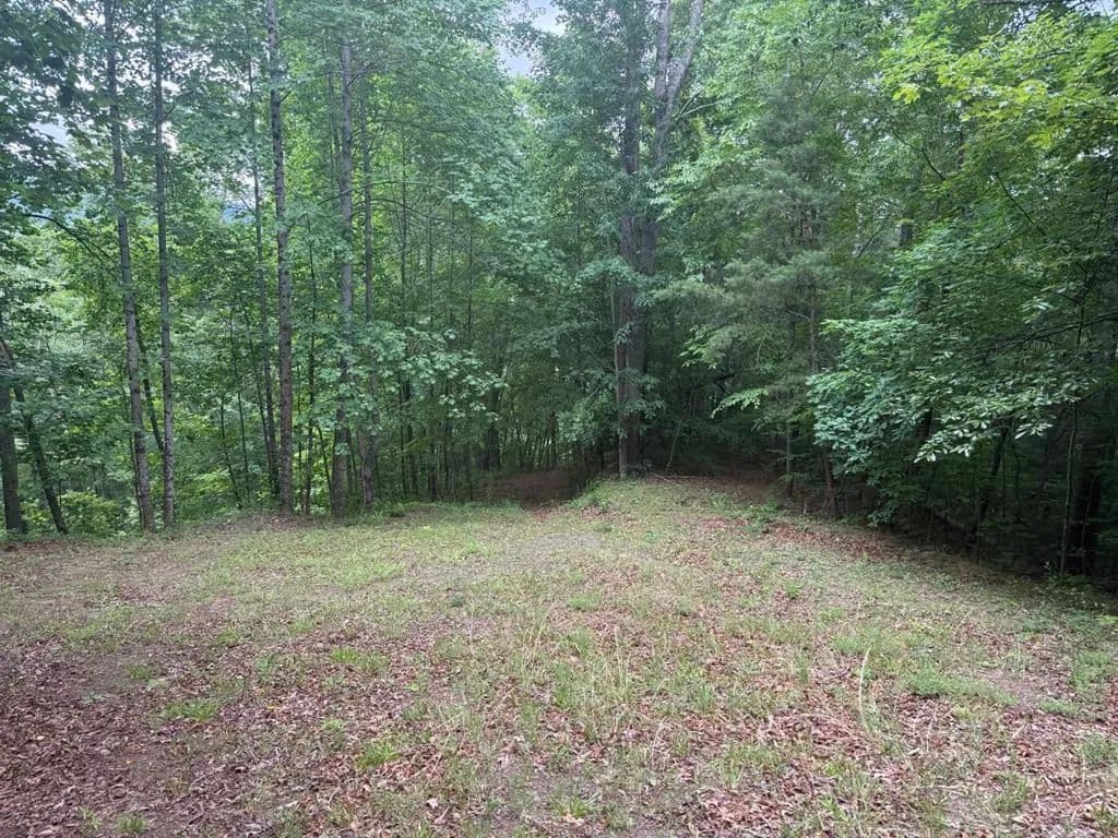 Property from 0 Timber Crest Trail - KW - Robbinsville, North Carolina, 28771