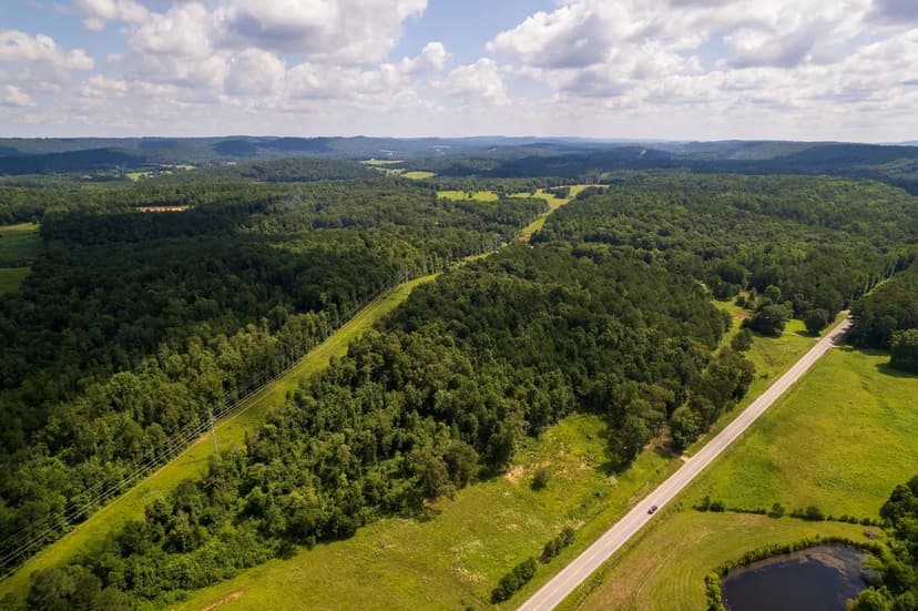 34.5 Acres +/- Blount County, Alabama