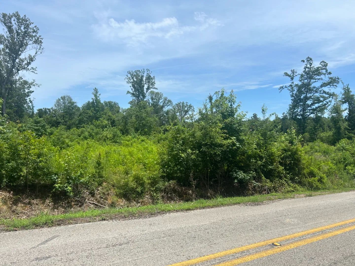 12 Acres in Caldwell County, LA  - Kelly, Louisiana, 71441