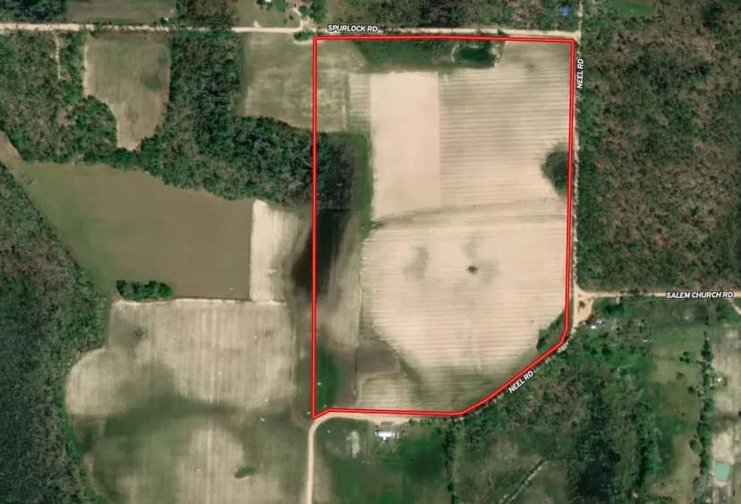 65 Acres Near Lake Seminole – Hunting and Recreation Land