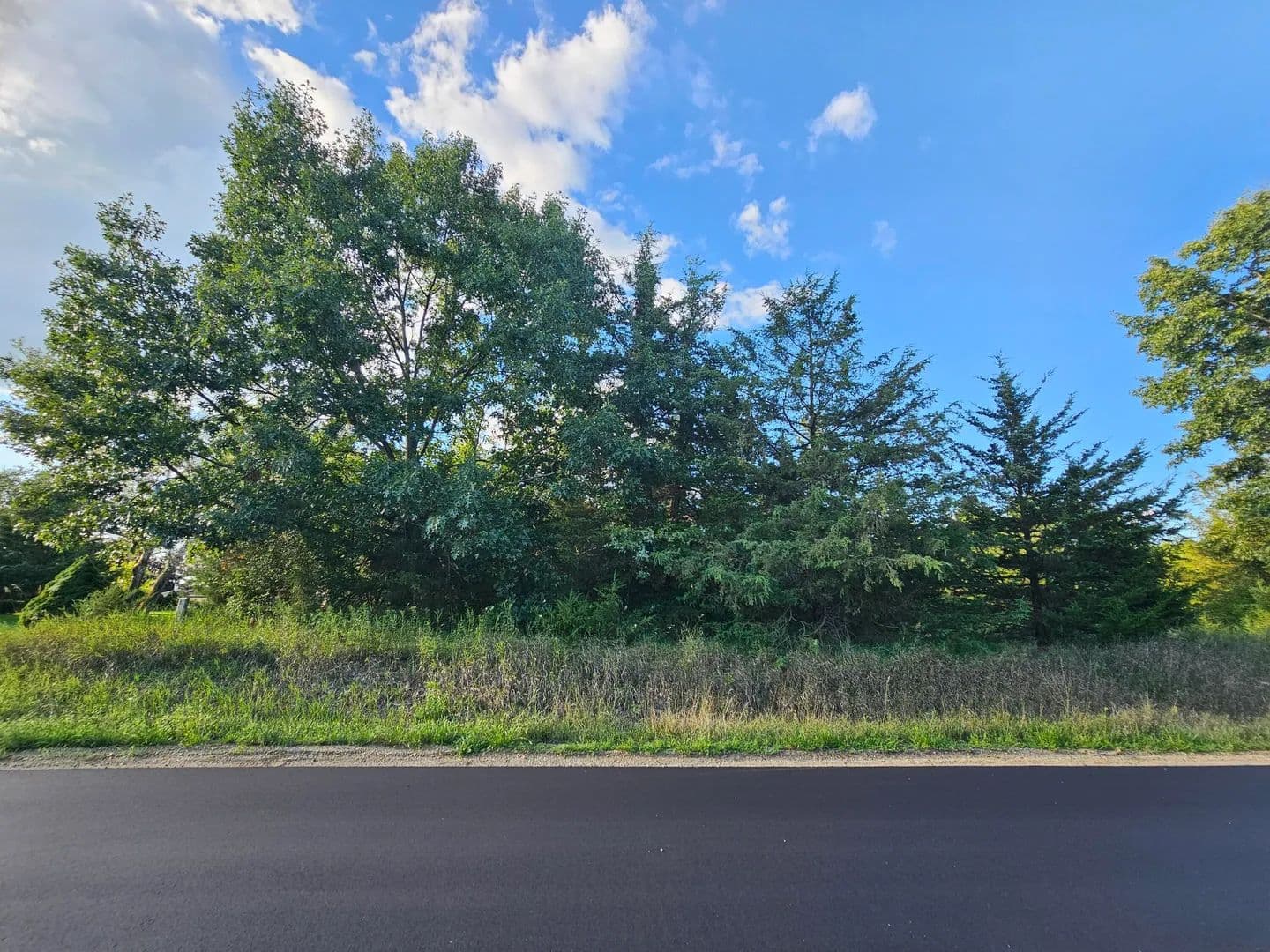 Vacant Land in Brooklyn - Brooklyn, Michigan, 49230