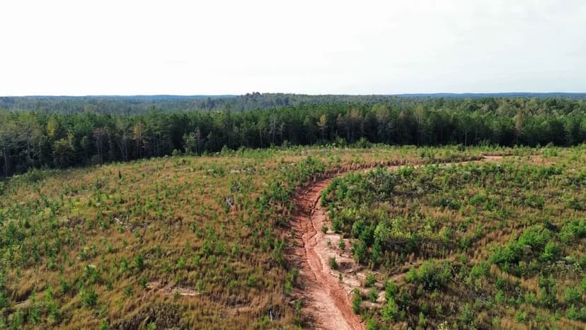 +/-57 Acres North Pickens County Alabama