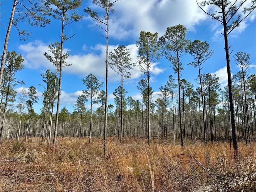 Property from 0 LEE ROAD 278 - KW