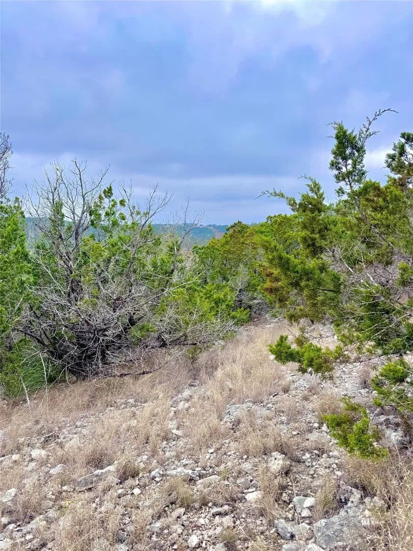 Property from 424 Armadillo Trail Drive E - KW