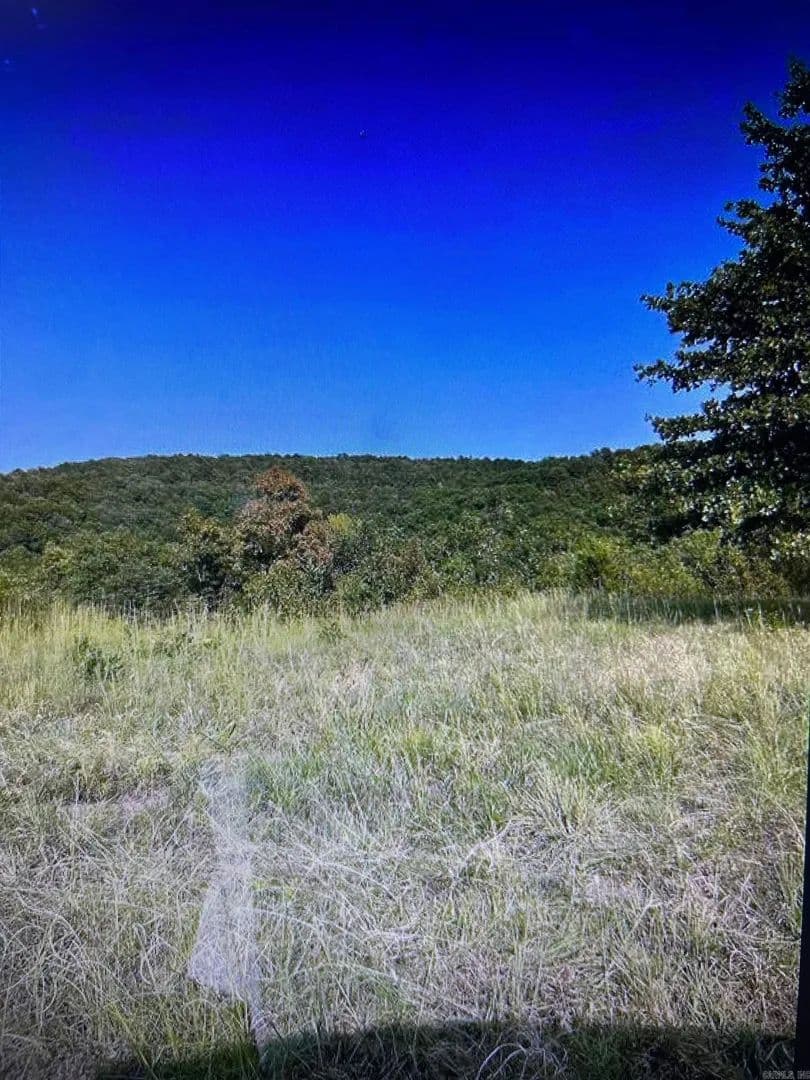 Lots & Land-Other in Greenbrier - Greenbrier, Arkansas, 72058