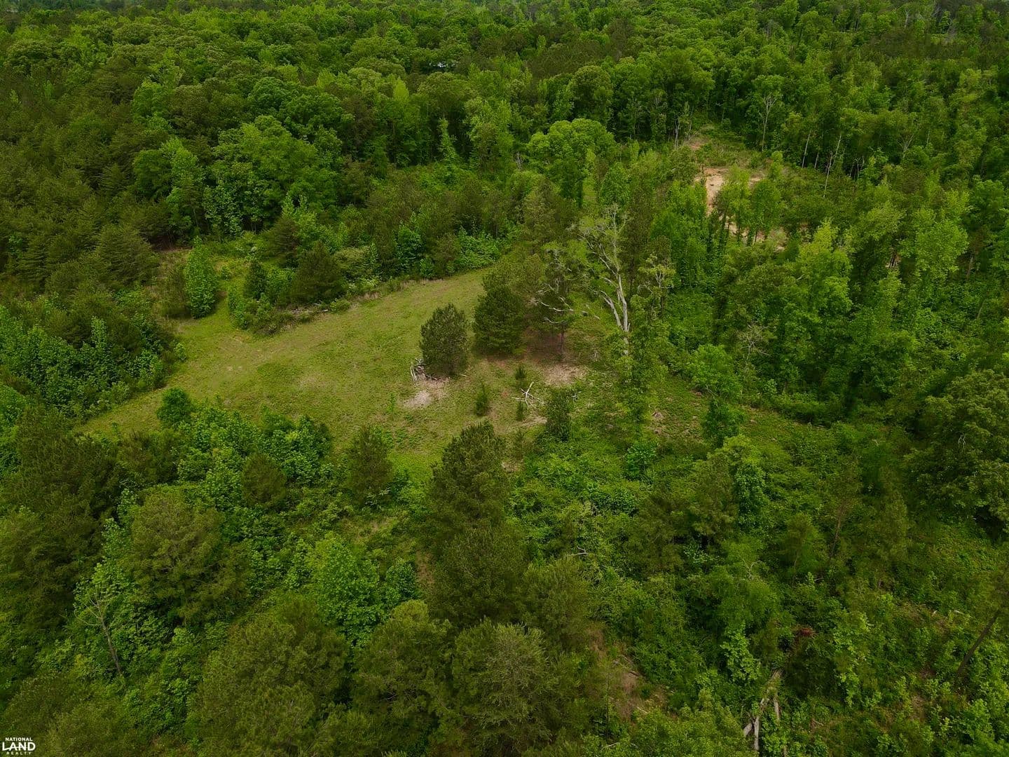 Blue Gut Creek Hunting and Recreation - Clanton, Alabama, 35046