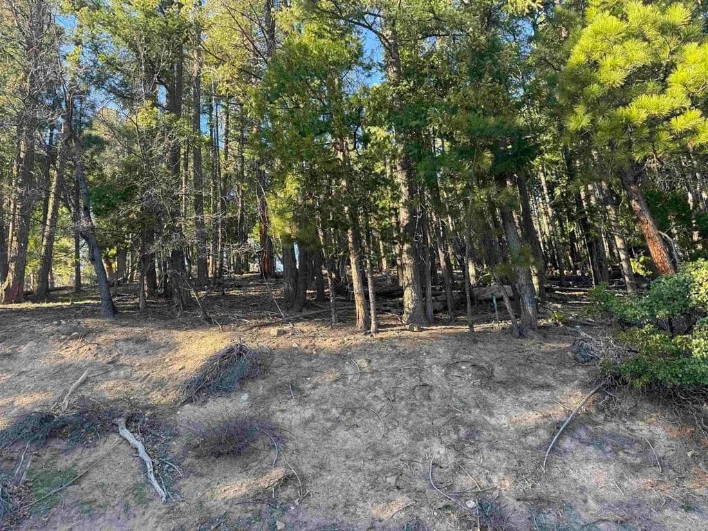 Vacant Land in Quincy - Quincy, California, 95971