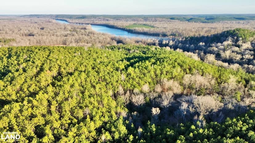 Morgan Bluff Hunting & Timber Retreat