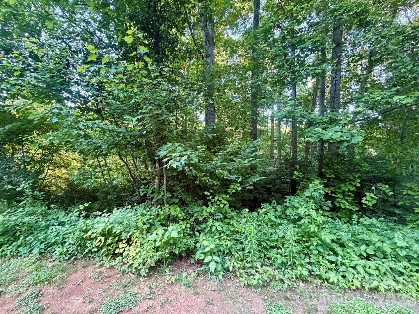 Lots & Land-Other in Hickory - Hickory, North Carolina, 28602