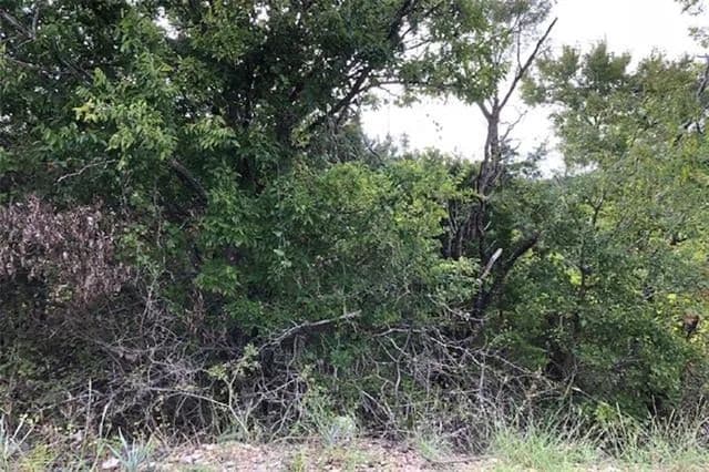 0.14 Acres of Land for Sale in Granbury, 2409 Creekview Drive - land for sale