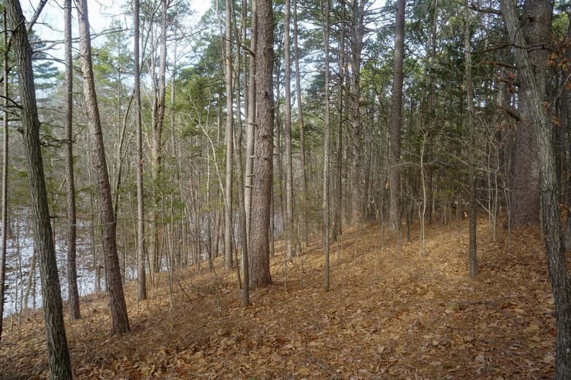 Property from 11 Ac. On State Hwy 13 - KW