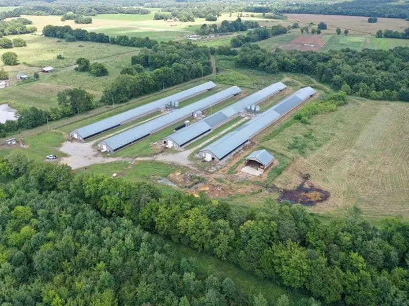 Sang Broiler Farm – Four Super Houses in Franklin County, Alabama - Russellville, Alabama, 35654