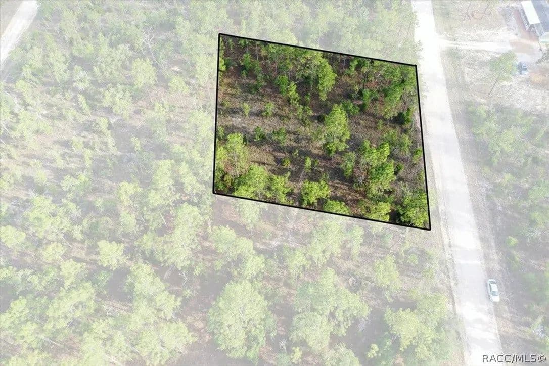 Lots & Land-Other in Williston - Williston, Florida, 32696