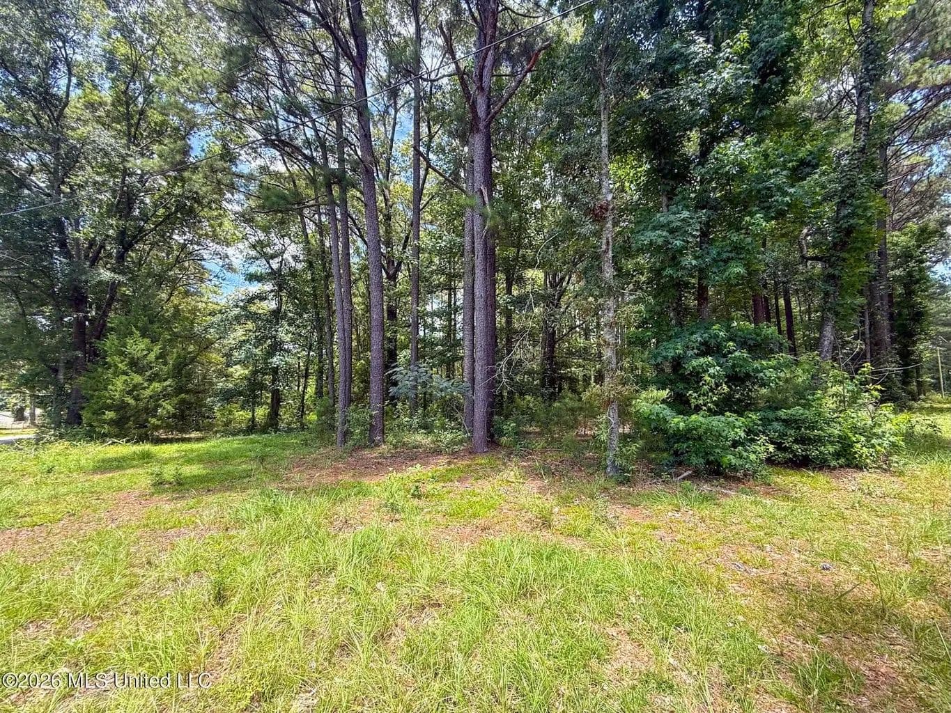 2.2 Acres in North Pike School District McComb MS - Mccomb, Mississippi, 39648