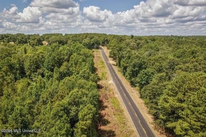 31 Acres for Sale Near Collins MS | Mature Timber & Hunting - Taylorsville, Mississippi, 39168
