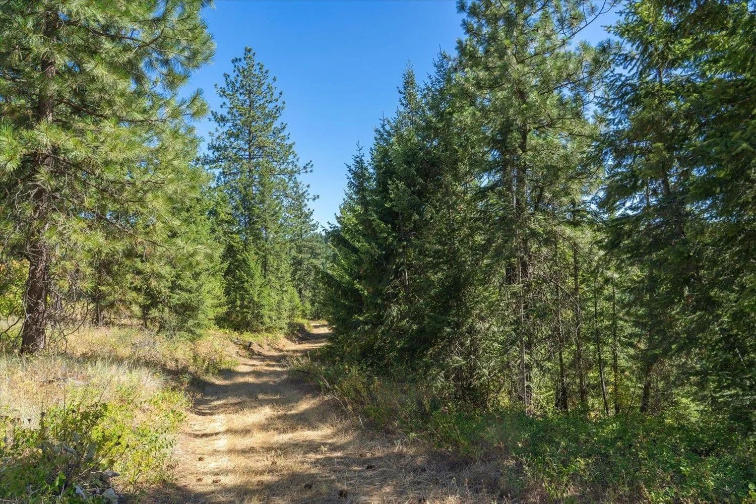 Vacant Land in Otis Orchards - Otis Orchards, Washington, 99027