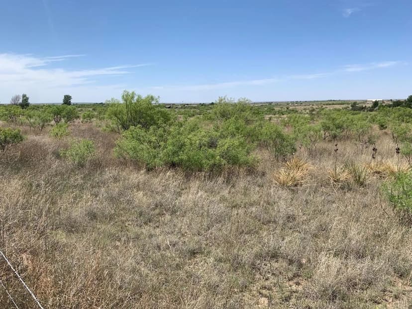 Property from 9601 ARLIE Road - KW