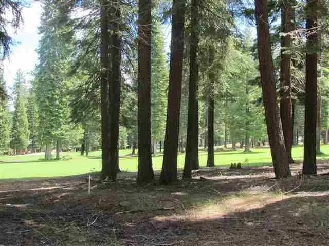 Vacant Land in Lake Almanor West - Lake Almanor West, California, 96020