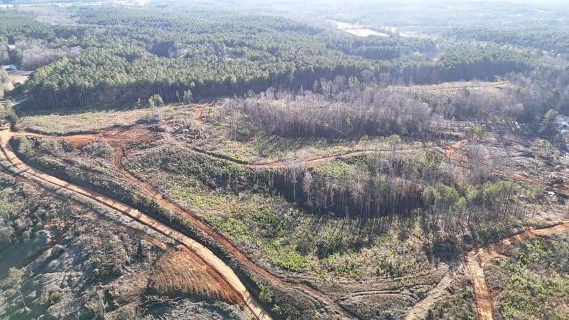 61.32 Acres in Union County, MS 