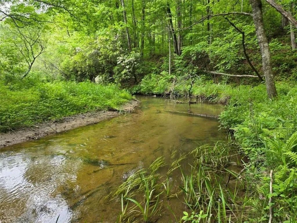 Land -Single Family Acreage in Ellijay - Ellijay, Georgia, 30540