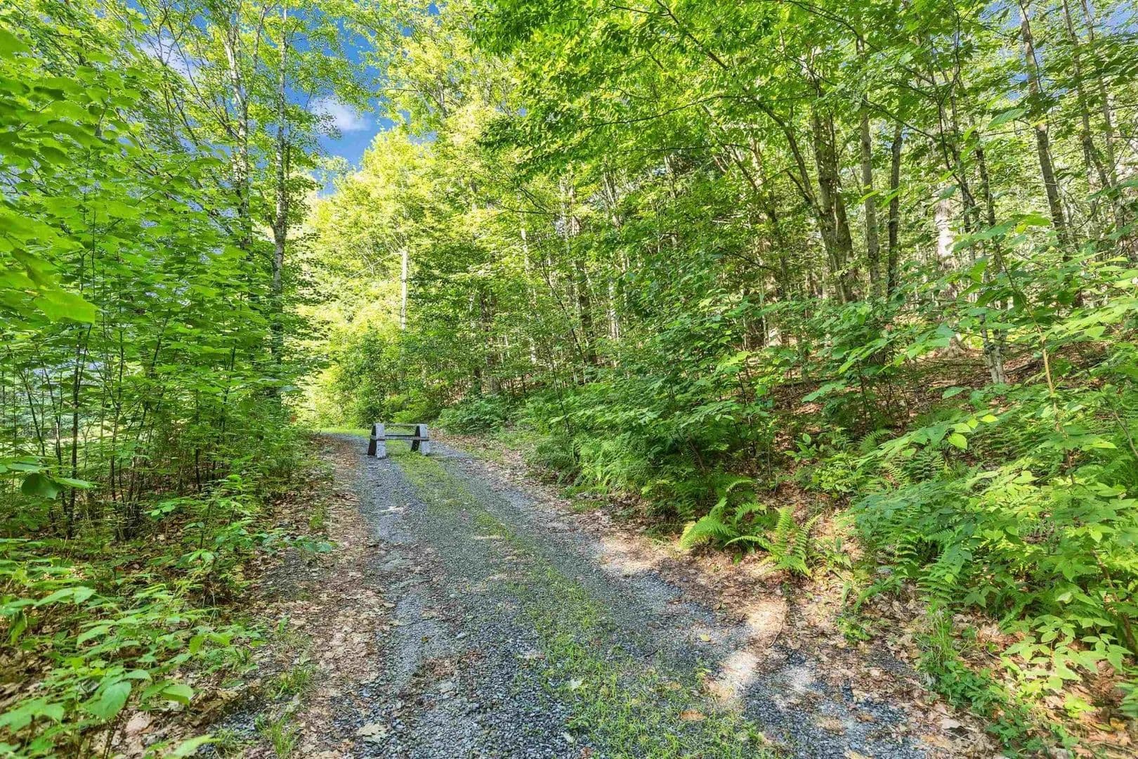 Vacant Land in Sullivan - Sullivan, New Hampshire, 03445