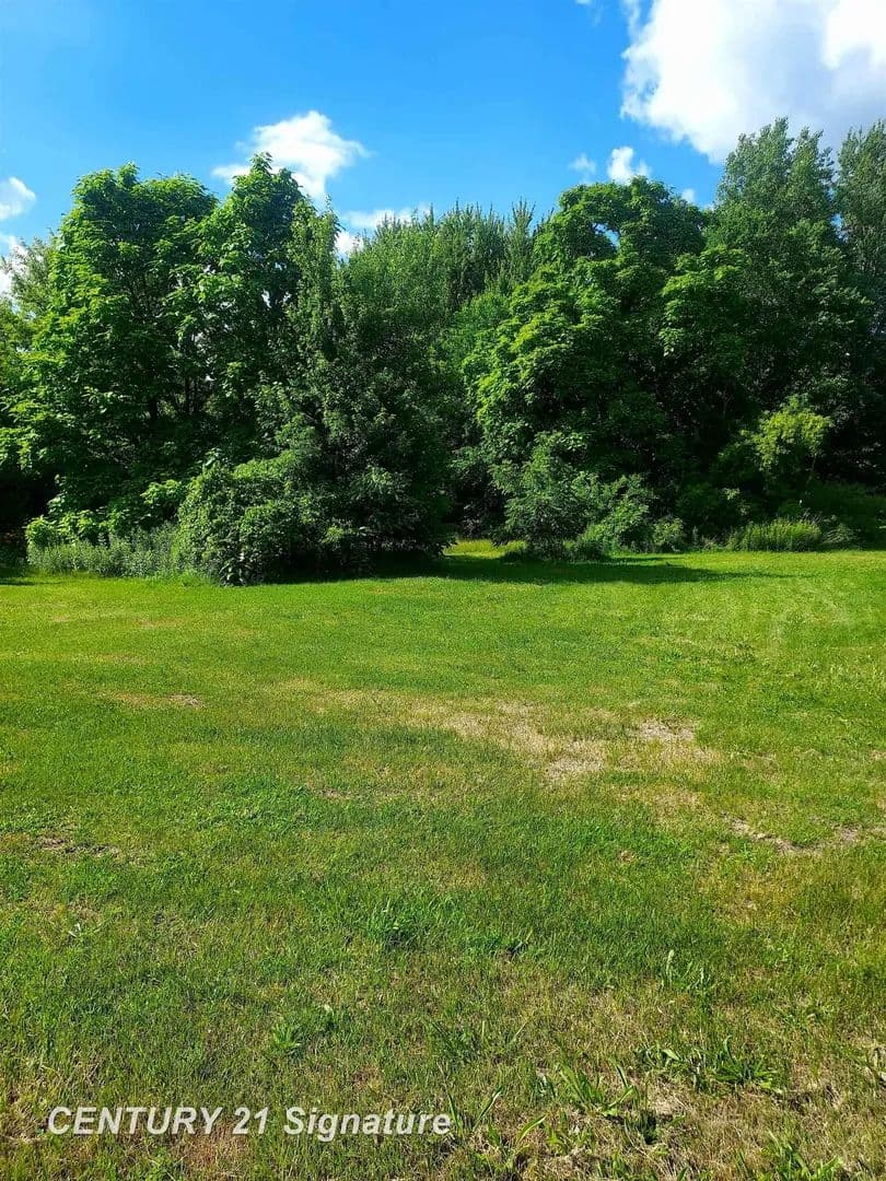 Vacant Land in Montrose - Montrose, Michigan, 48457