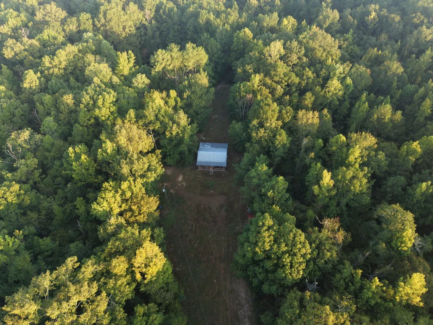 62 Acres with a Cabin in Franklin County, MS - Roxie, Mississippi, 39661