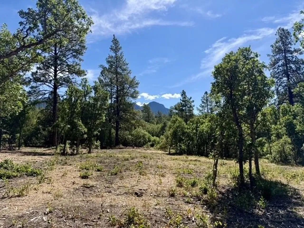 Brazos Meadows - Chama, New Mexico, 87520