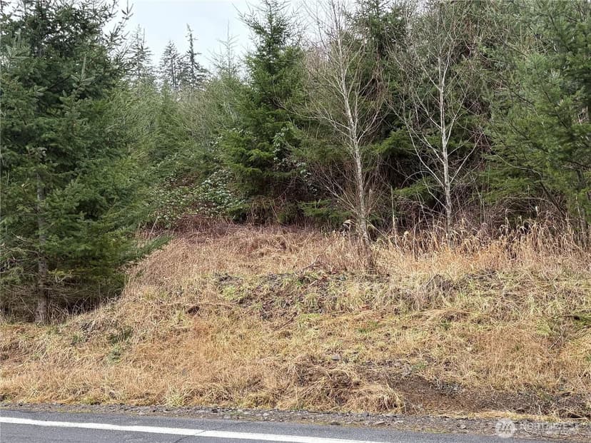 Vacant Land in Kalama