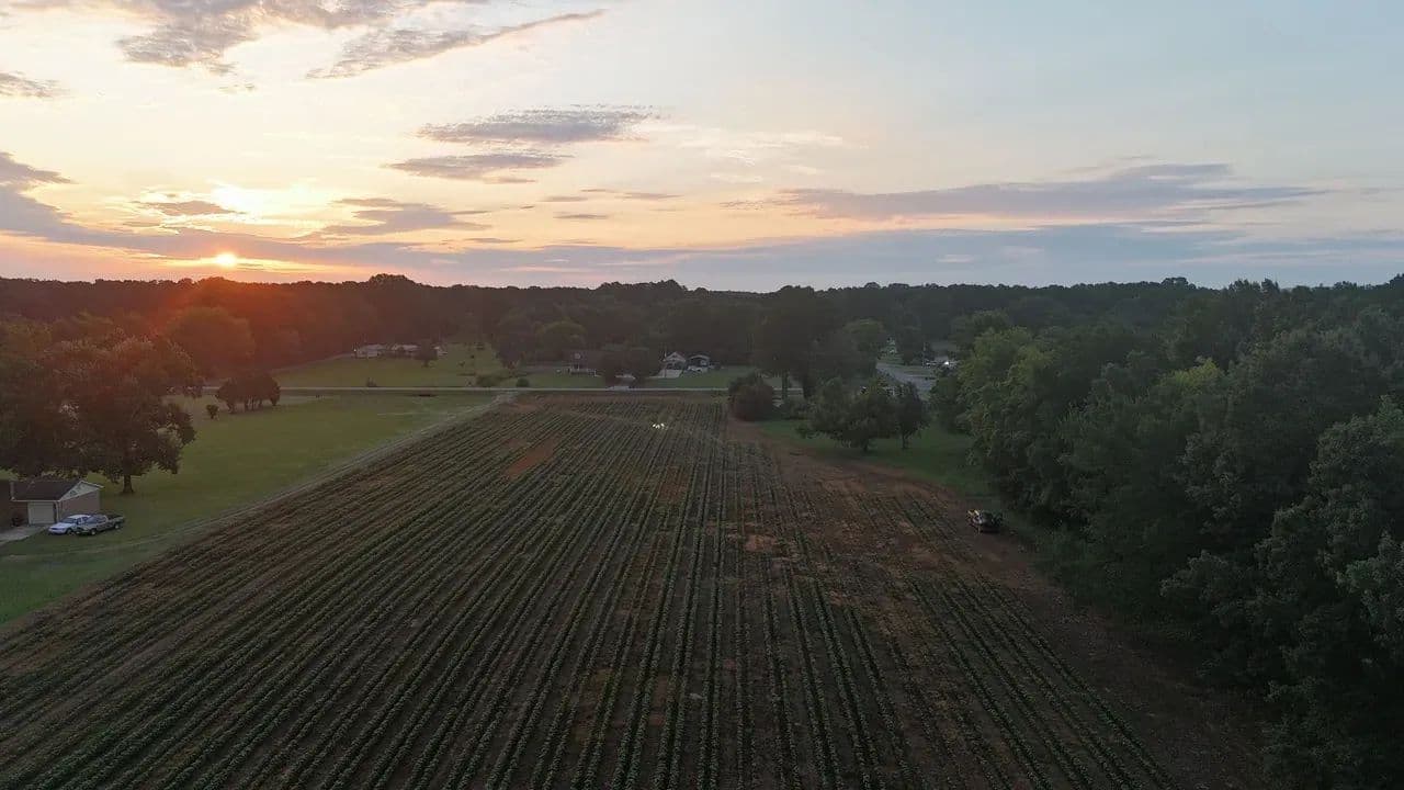 Colbert County 9 +/- acre Mini-Farm - Leighton, Alabama, 35646