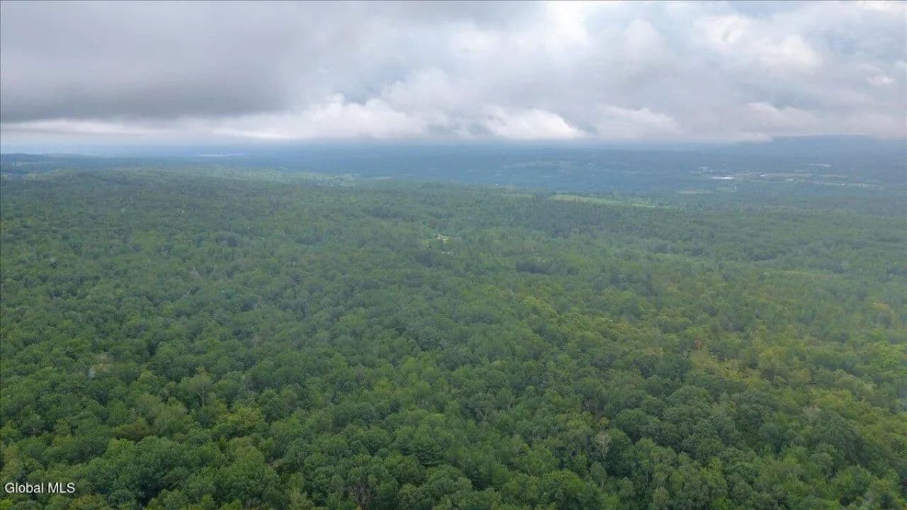 Land -Single Family Acreage in Duanesburg - Duanesburg, New York, 12056