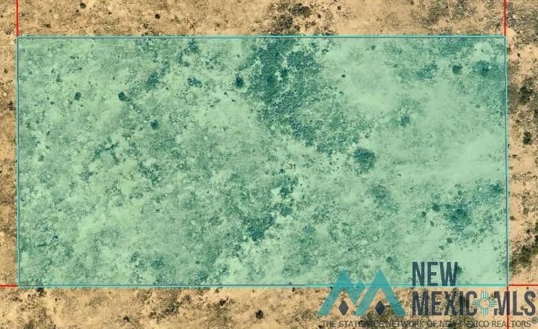 Property from 0000 S: 31 T: 14s R: 26e S2ne4sw4ne4 - KW - Hagerman, New Mexico, 88232