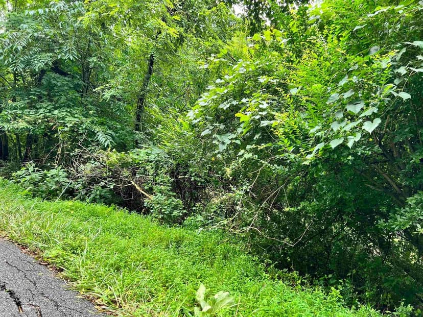 Lots & Land-Other in Huntington